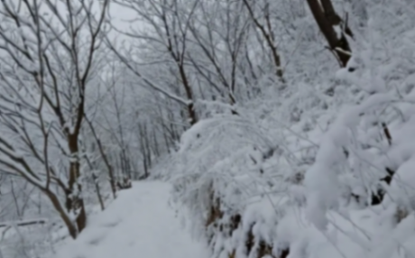 河南鵝毛大雪滿天飛 積雪腳脖子深