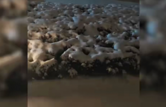 河南鵝毛大雪滿天飛 積雪腳脖子深