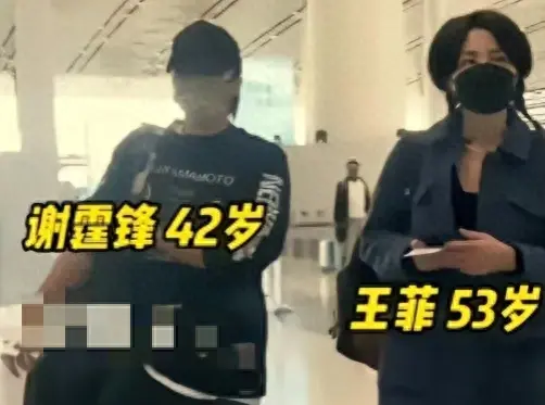 王菲謝霆鋒同框現身機場