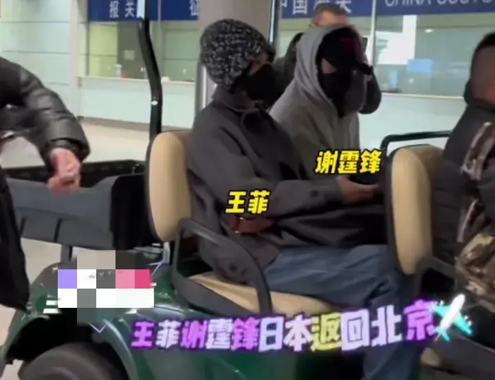 王菲謝霆鋒同框現身機場