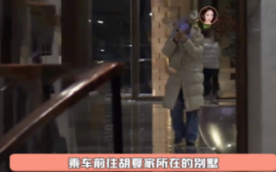 好事將近?金晨拎禮物拜訪胡夏父母