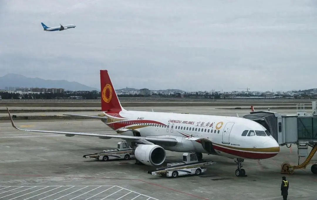 飛機延誤乘務長唱歌補償霉霉歌迷