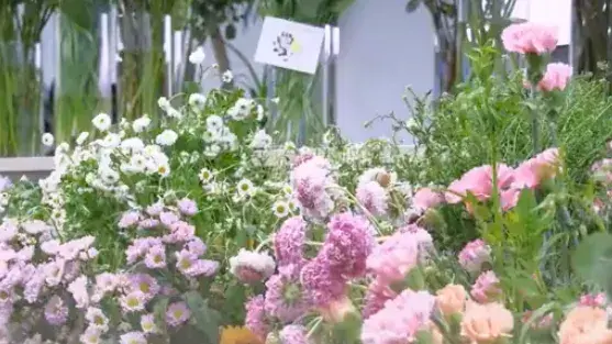 婦女節(jié)公司為女生開了一間花店
