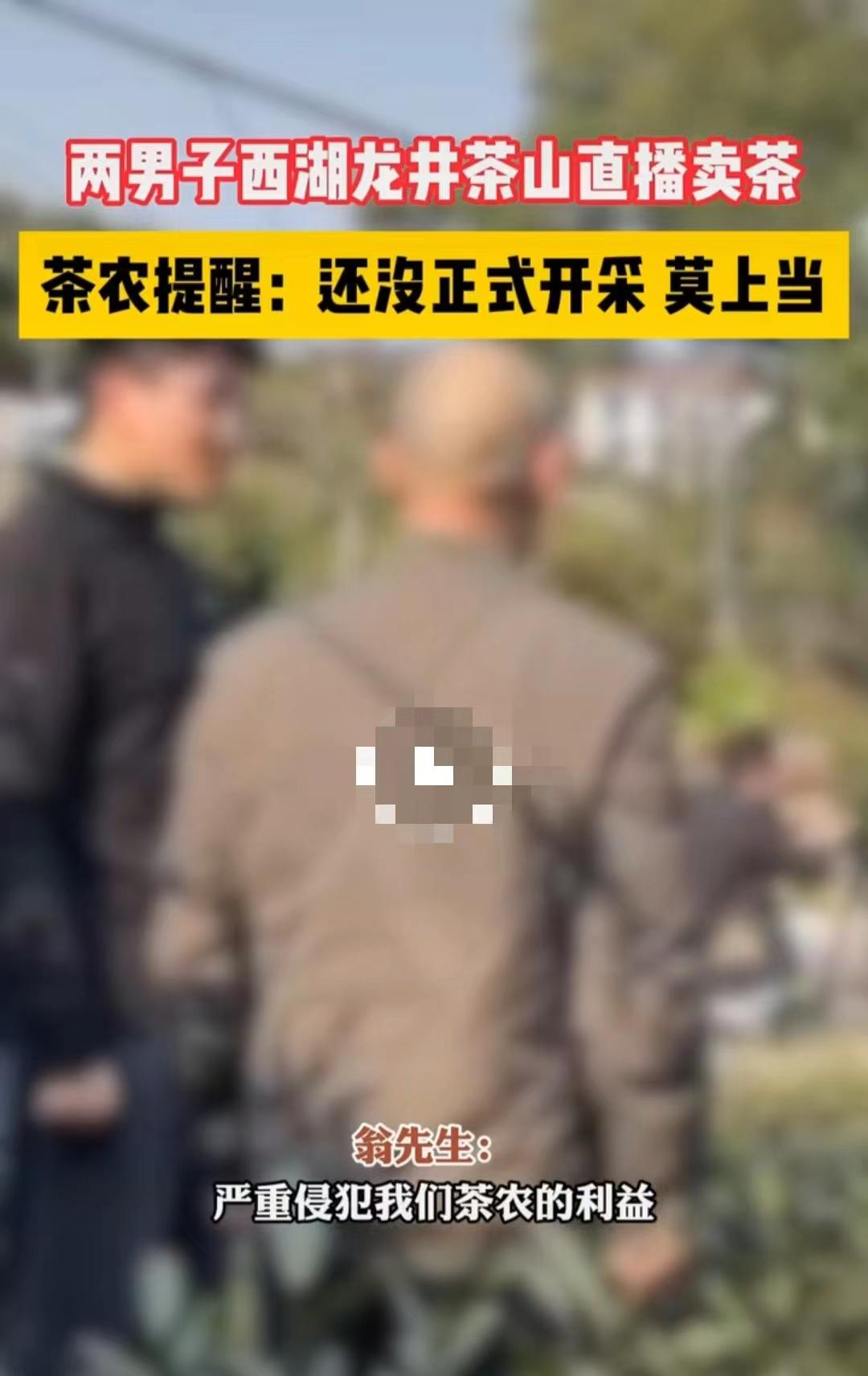 茶農怒斥2男子偷進茶園直播賣低價茶