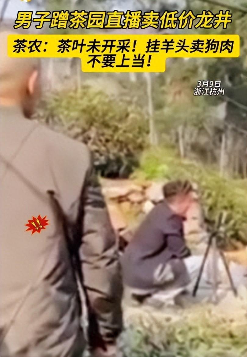 茶農怒斥2男子偷進茶園直播賣低價茶
