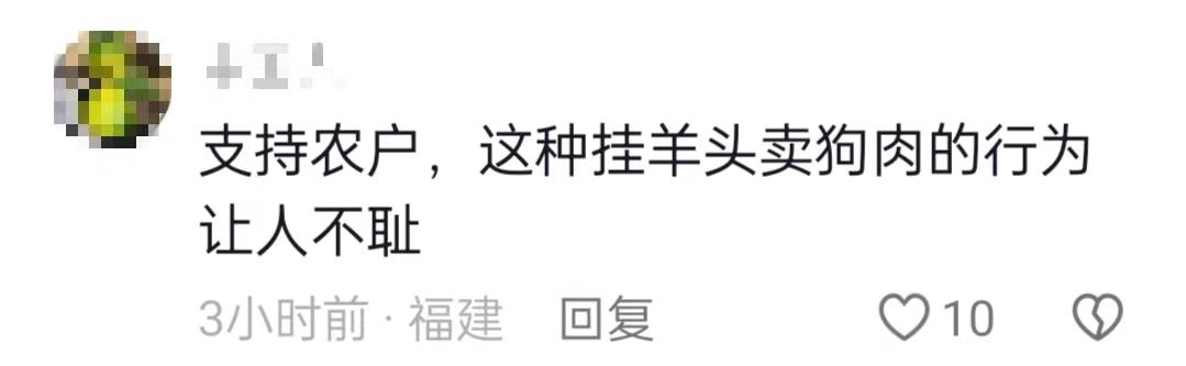 茶農怒斥2男子偷進茶園直播賣低價茶
