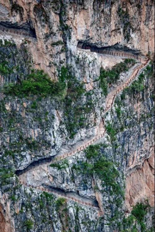 村支書回應(yīng)四川雅安古路村爆火