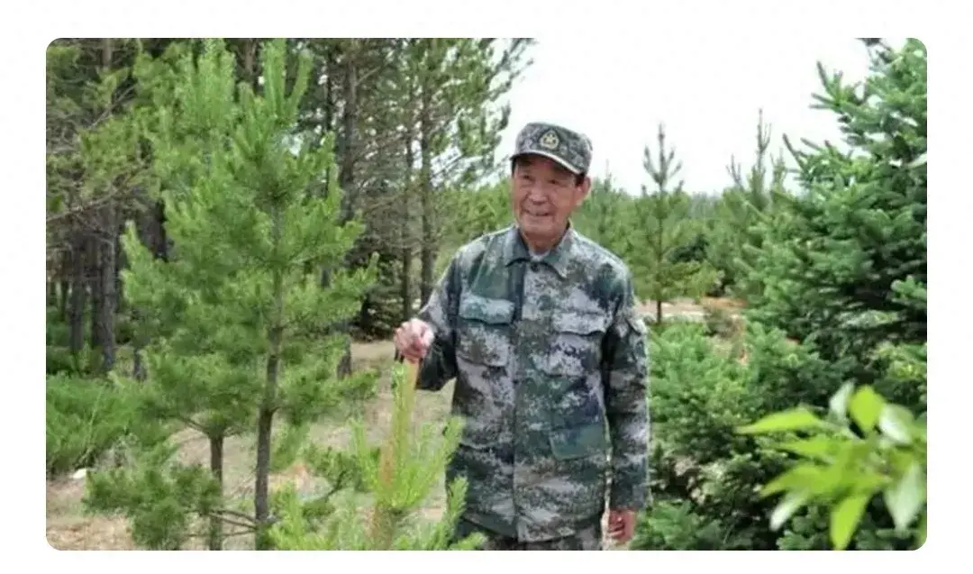 “綠化將軍”張連印病逝