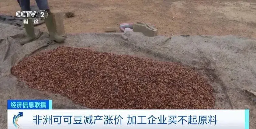 巧克力可能要漲價了