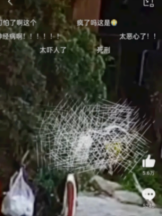 13歲男生猥褻女生被送專門學(xué)校訓(xùn)誡