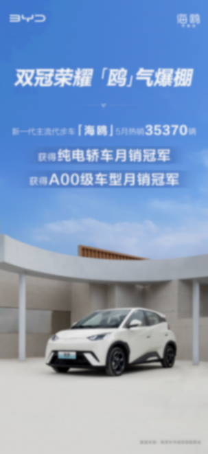 5月銷量排名出爐 海鷗熱銷35370輛 獲純電轎車+A00級(jí)車型月銷雙冠