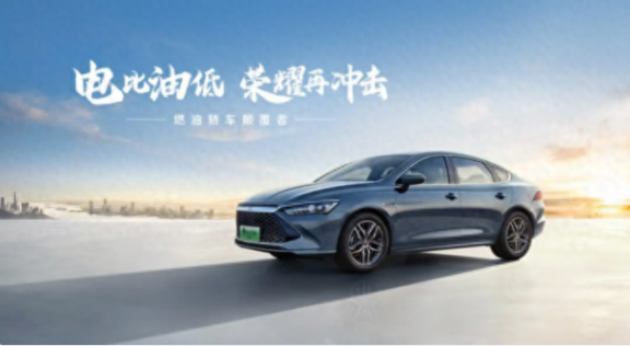 亂象頻生大卷當?shù)溃腺Y品牌如何破局?