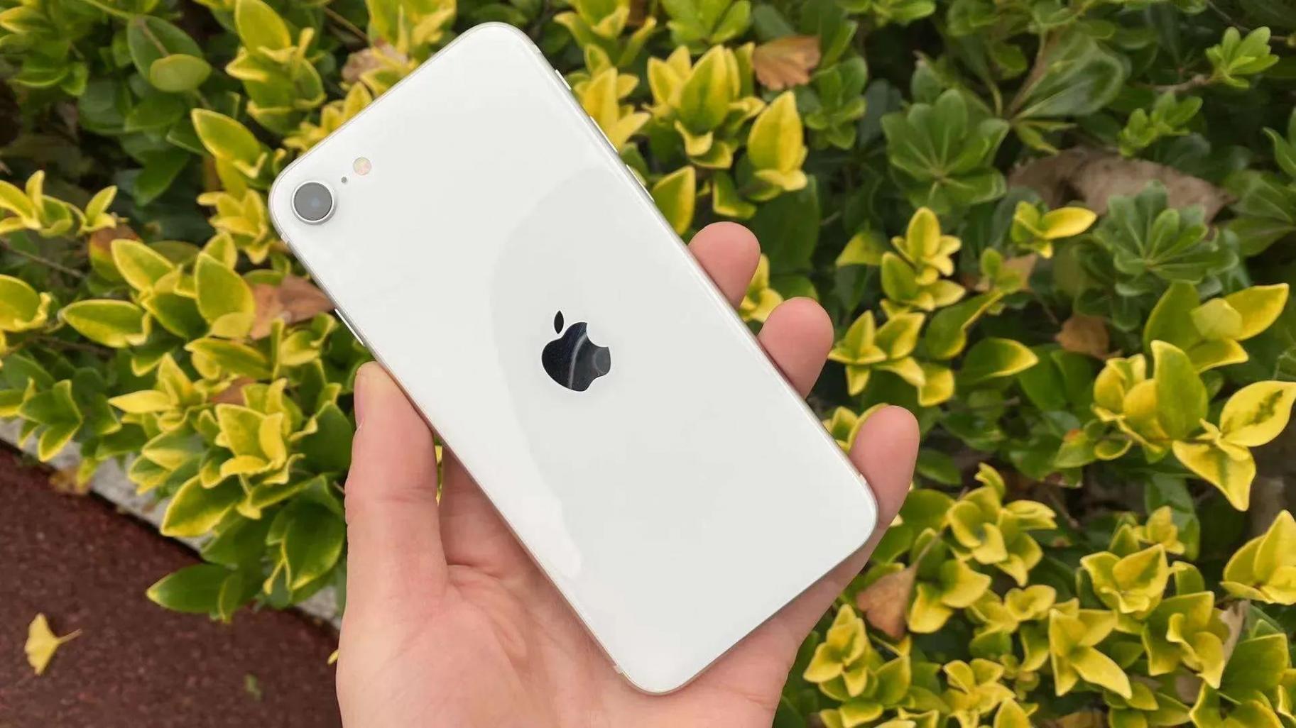 iPhone價格崩了!蘋果4款機型跌至冰點,2999元起性價比炸裂!