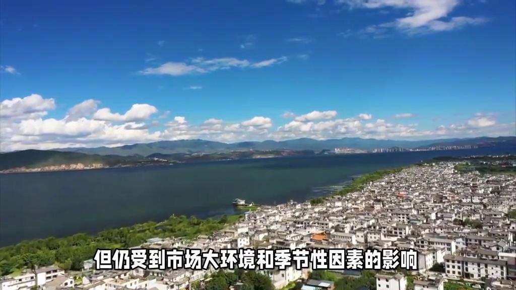 2024年12月云南各市房價(jià)變化一覽#房價(jià)##商品住宅#