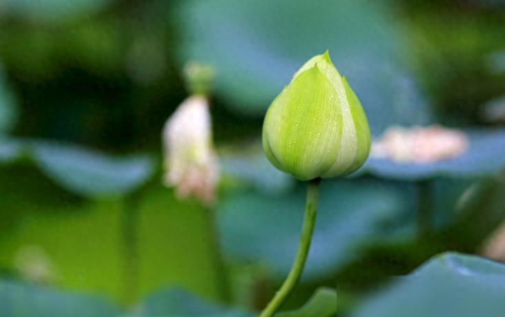 遇到這幾件吉利的事,說(shuō)明你要走大運(yùn)了