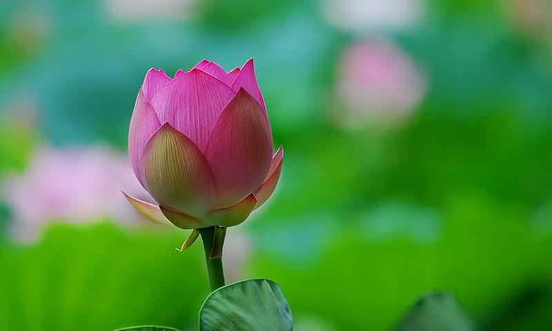 遇到這幾件吉利的事,說(shuō)明你要走大運(yùn)了