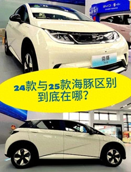 對比一下比亞迪海豚智駕版和廣汽傳祺GS4 MAX的安全性配置