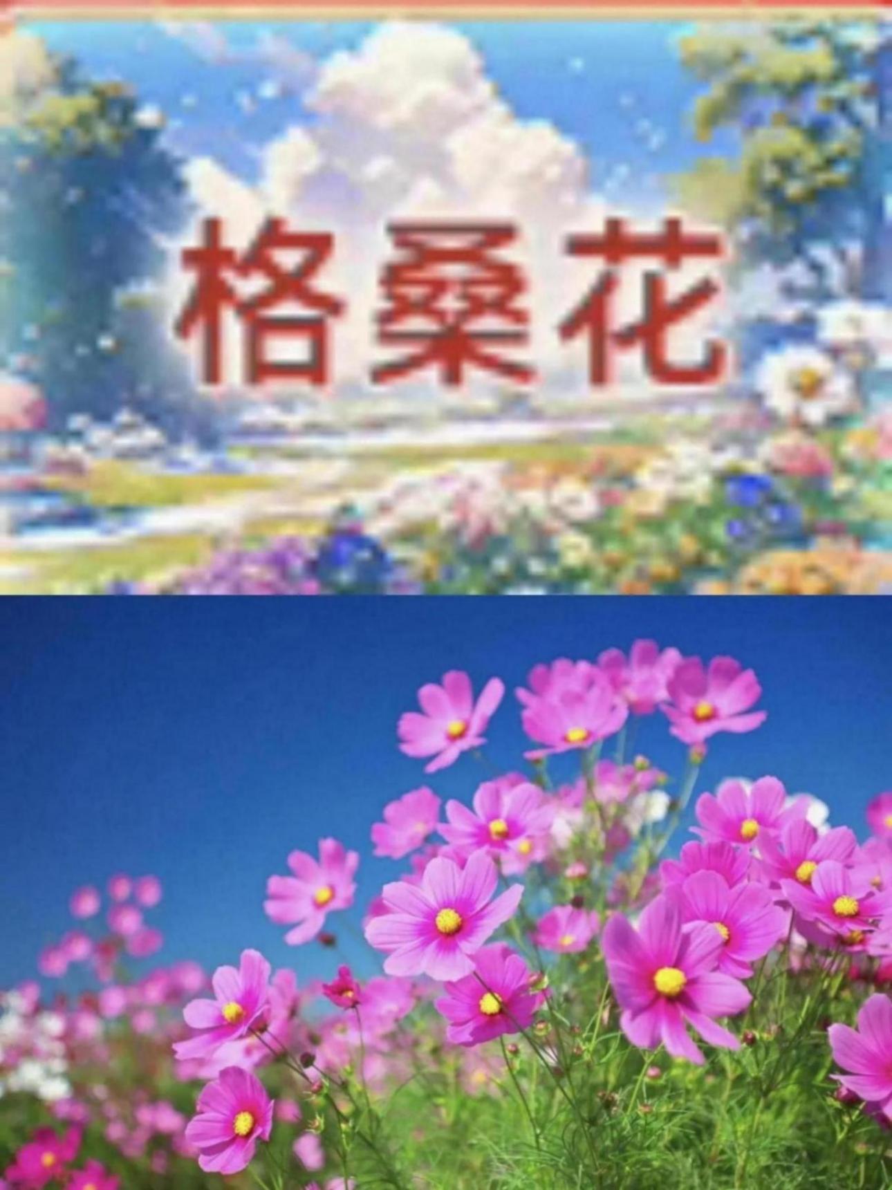淘寶元宵節猜燈謎活動今天14點 答案大揭秘!!獎品有大金豆